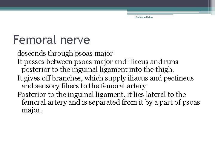 Dr. Maria Zahiri Femoral nerve descends through psoas major It passes between psoas major
