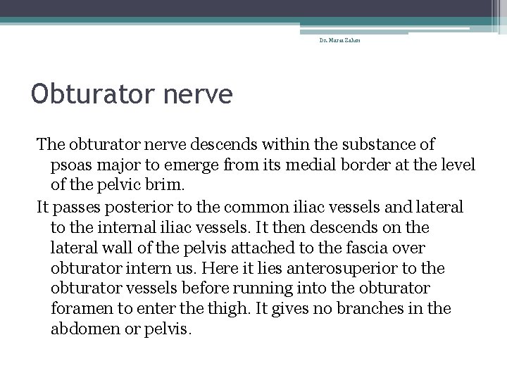 Dr. Maria Zahiri Obturator nerve The obturator nerve descends within the substance of psoas