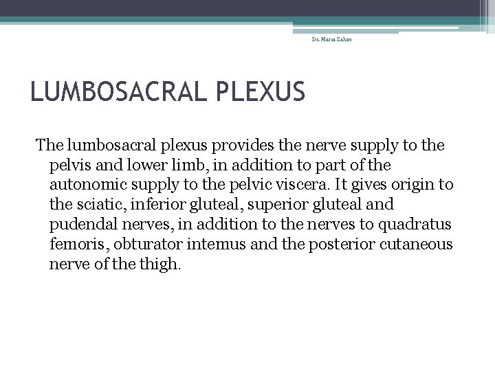 Dr. Maria Zahiri LUMBOSACRAL PLEXUS The lumbosacral plexus provides the nerve supply to the