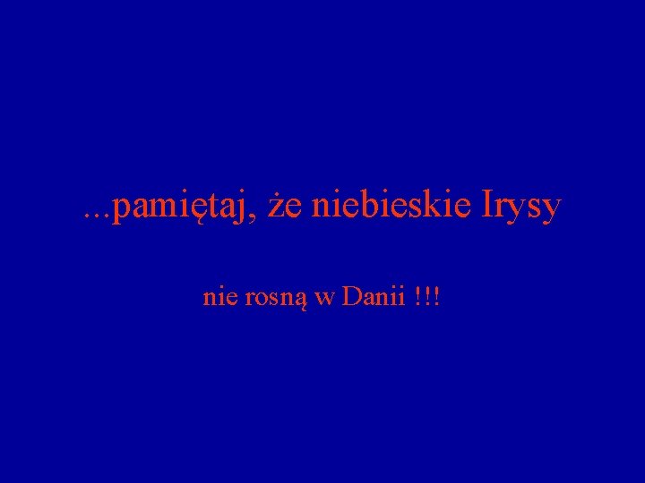 . . . pamiętaj, że niebieskie Irysy nie rosną w Danii !!! 