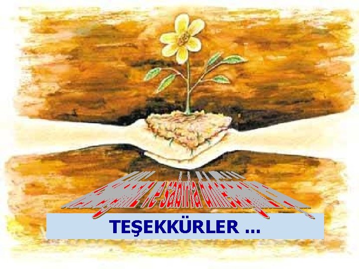 TEŞEKKÜRLER. . . 