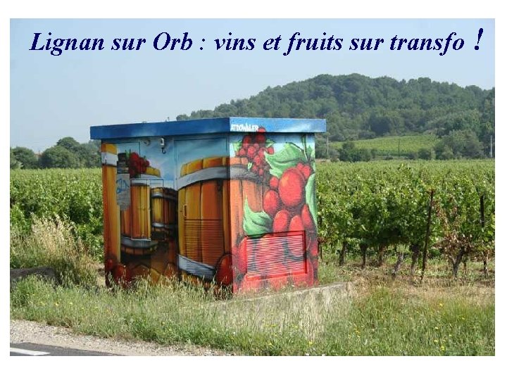 Lignan sur Orb : vins et fruits sur transfo ! 