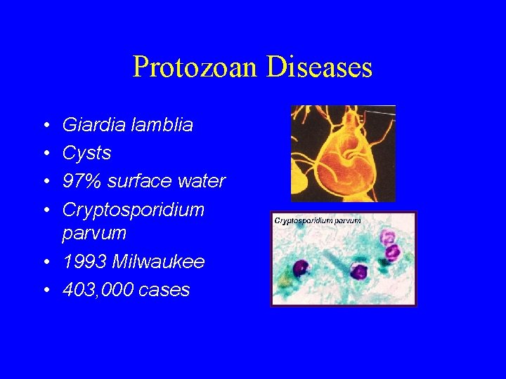 Protozoan Diseases • • Giardia lamblia Cysts 97% surface water Cryptosporidium parvum • 1993