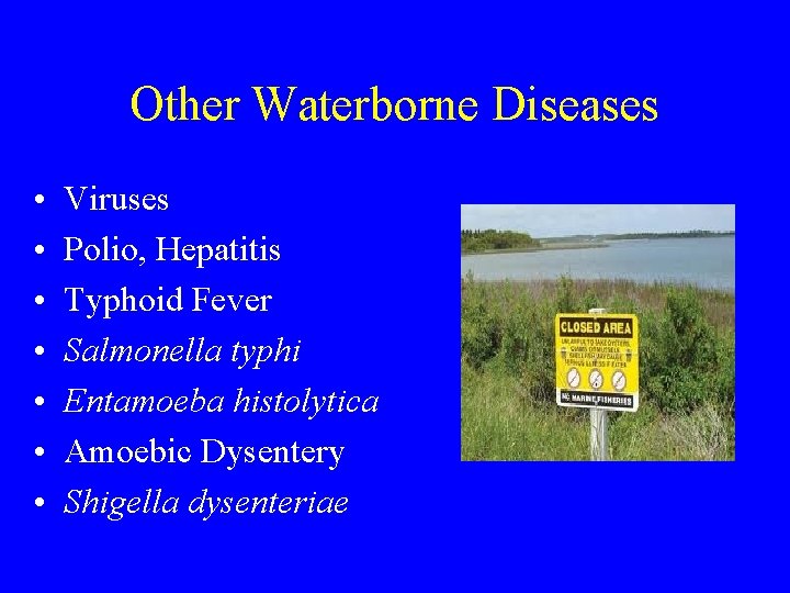 Other Waterborne Diseases • • Viruses Polio, Hepatitis Typhoid Fever Salmonella typhi Entamoeba histolytica