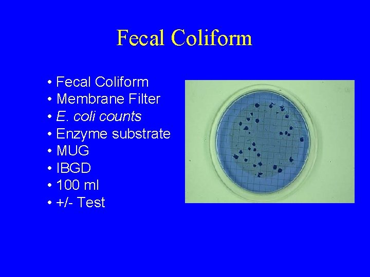 Fecal Coliform • Membrane Filter • E. coli counts • Enzyme substrate • MUG