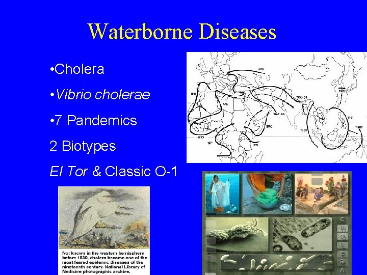 Waterborne Diseases • Cholera • Vibrio cholerae • 7 Pandemics 2 Biotypes El Tor