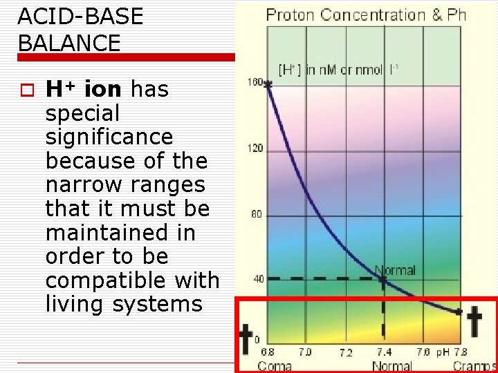 ACID-BASE BALANCE o H+ ion has special significance because of the narrow ranges that