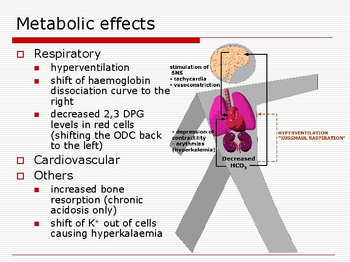 Metabolic effects o Respiratory n n n hyperventilation shift of haemoglobin dissociation curve to