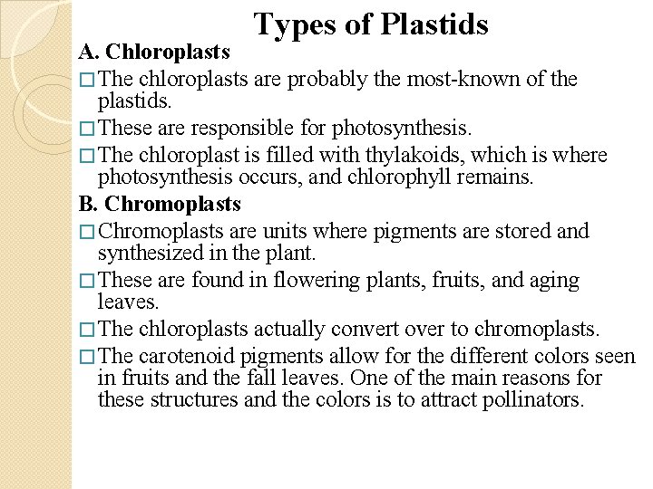 Types of Plastids A. Chloroplasts � The chloroplasts are probably the most known of Types of Plastids A. Chloroplasts � The chloroplasts are probably the most known of