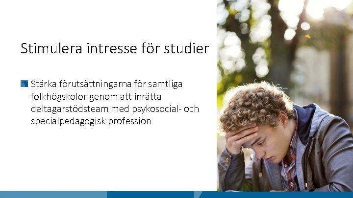 Stimulera intresse för studier Stärka förutsättningarna för samtliga folkhögskolor genom att inrätta deltagarstödsteam med