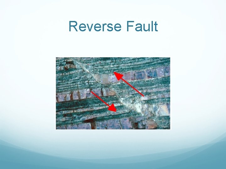 Reverse Fault 