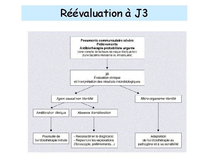 Réévaluation à J 3 