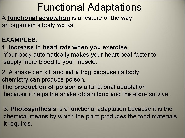Functional Adaptations A functional adaptation is a feature of the way an organism’s body