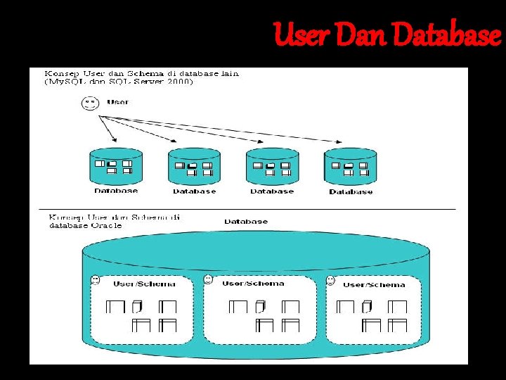 User Dan Database 