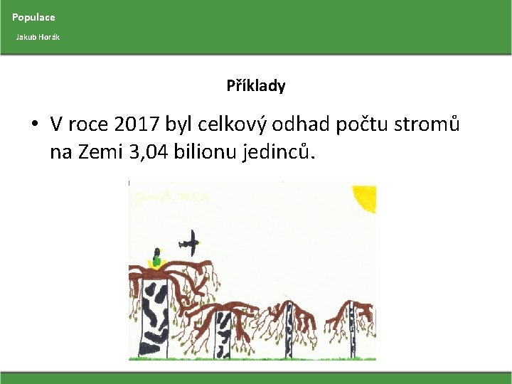 Populace Jakub Horák Příklady • V roce 2017 byl celkový odhad počtu stromů na