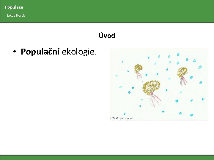 Populace Jakub Horák Úvod • Populační ekologie. 