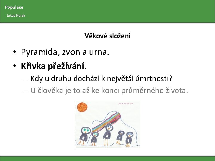 Populace Jakub Horák Věkové složení • Pyramida, zvon a urna. • Křivka přežívání. –