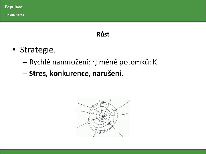 Populace Jakub Horák Růst • Strategie. – Rychlé namnožení: r; méně potomků: K –