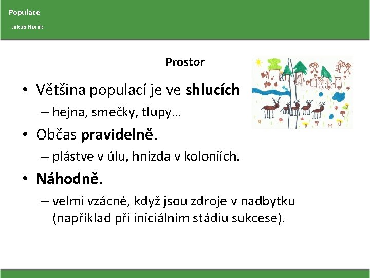 Populace Jakub Horák Prostor • Většina populací je ve shlucích – hejna, smečky, tlupy…