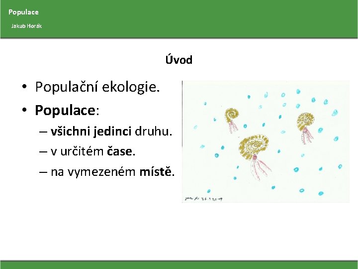 Populace Jakub Horák Úvod • Populační ekologie. • Populace: – všichni jedinci druhu. –