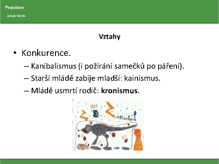 Populace Jakub Horák Vztahy • Konkurence. – Kanibalismus (i požírání samečků po páření). –