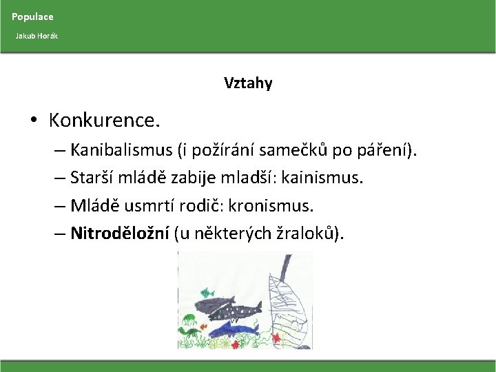 Populace Jakub Horák Vztahy • Konkurence. – Kanibalismus (i požírání samečků po páření). –