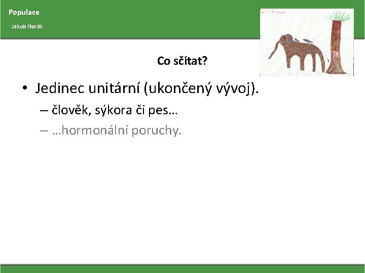 Populace Jakub Horák Co sčítat? • Jedinec unitární (ukončený vývoj). – člověk, sýkora či