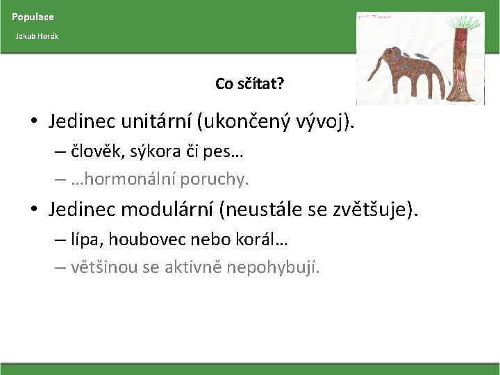 Populace Jakub Horák Co sčítat? • Jedinec unitární (ukončený vývoj). – člověk, sýkora či
