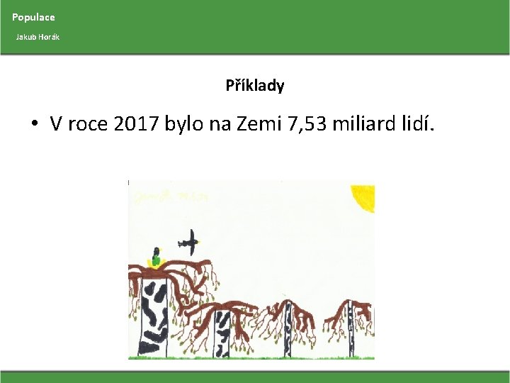 Populace Jakub Horák Příklady • V roce 2017 bylo na Zemi 7, 53 miliard