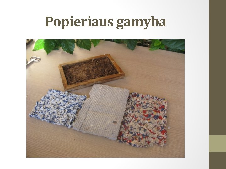 Popieriaus gamyba 