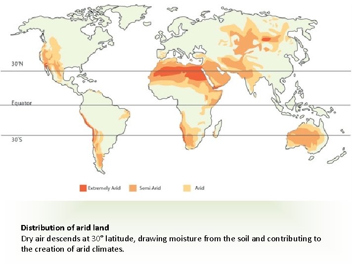 Distribution of arid land Dry air descends at 30° latitude, drawing moisture from the