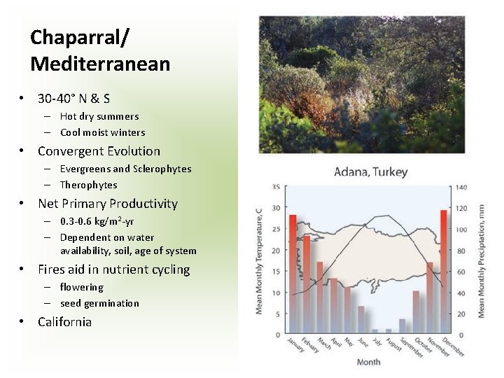 Chaparral/ Mediterranean • 30 -40° N & S – Hot dry summers – Cool