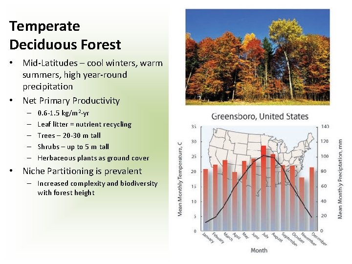 Temperate Deciduous Forest • Mid-Latitudes – cool winters, warm summers, high year-round precipitation •