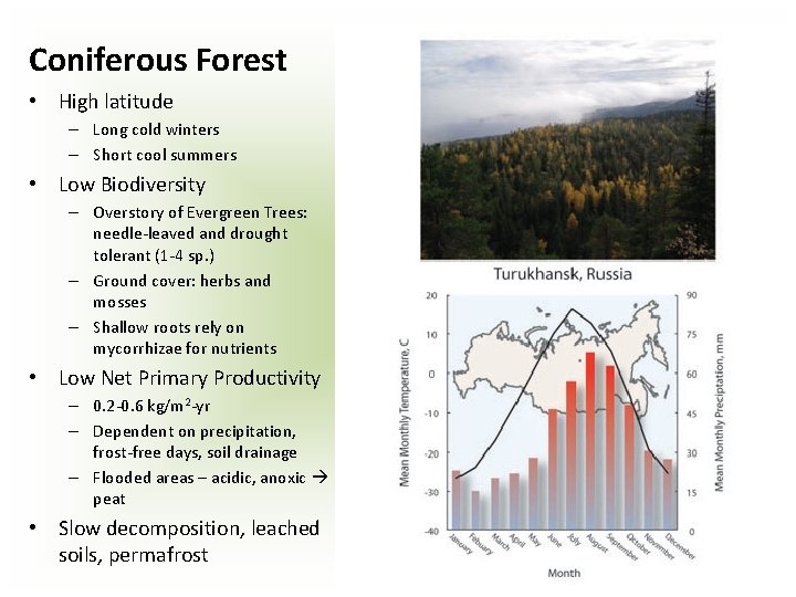 Coniferous Forest • High latitude – Long cold winters – Short cool summers •