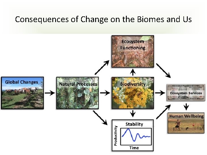 Consequences of Change on the Biomes and Us 
