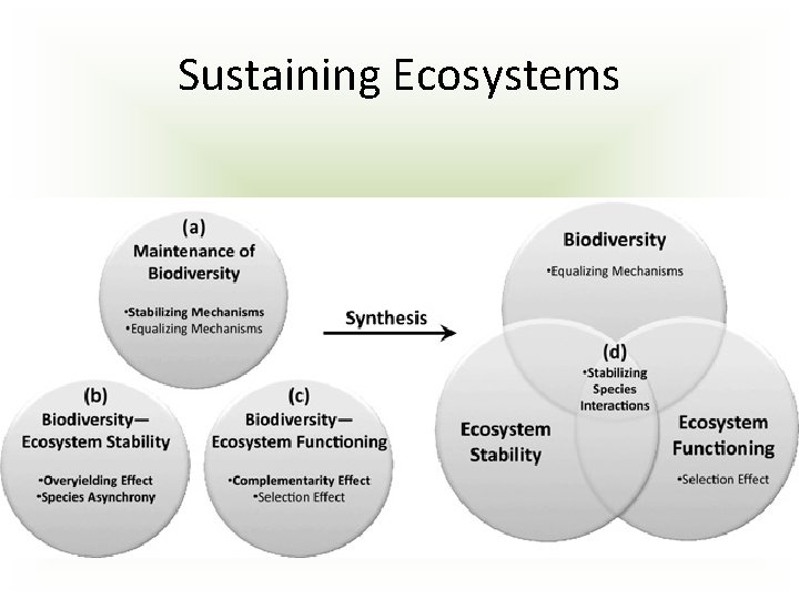 Sustaining Ecosystems 