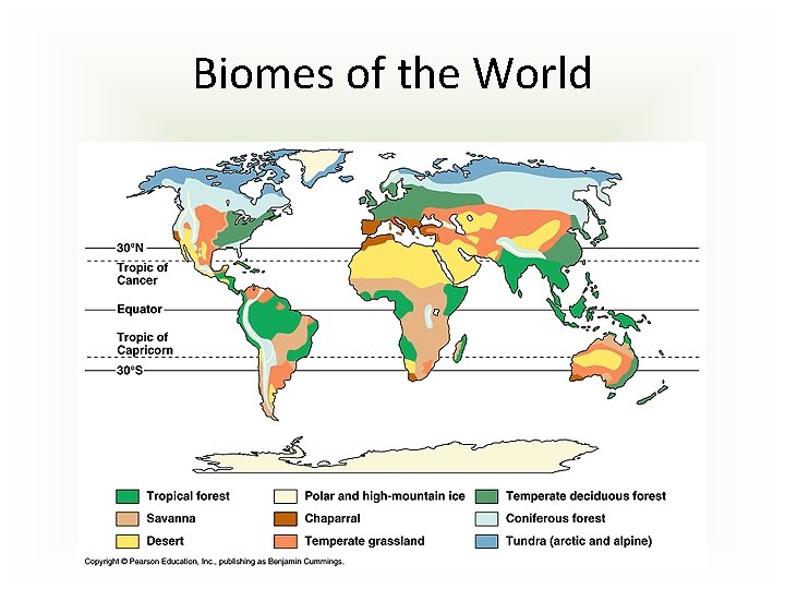 Biomes of the World 