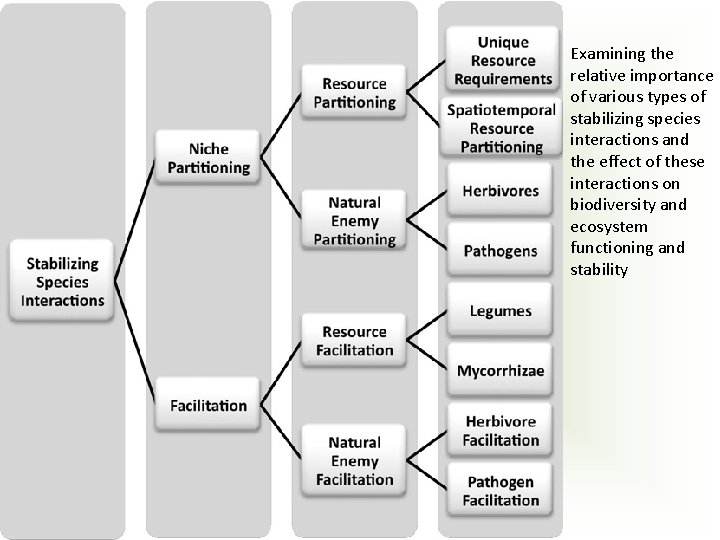 Examining the relative importance of various types of stabilizing species interactions and the effect