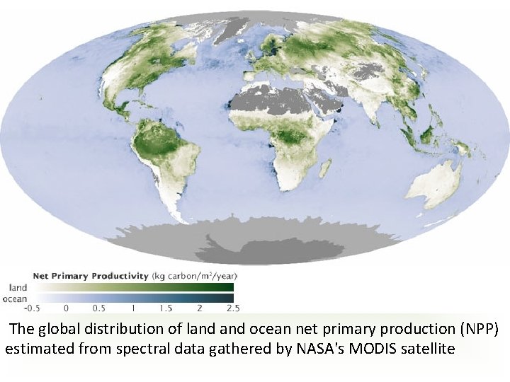 The global distribution of land ocean net primary production (NPP) estimated from spectral data