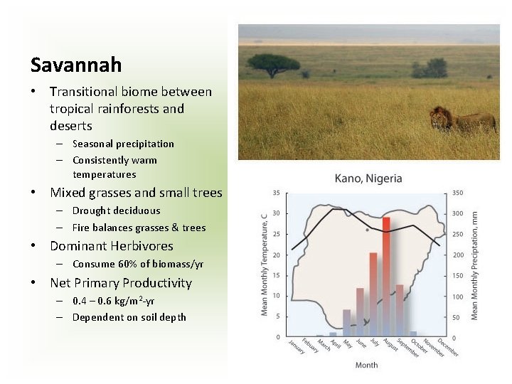 Savannah • Transitional biome between tropical rainforests and deserts – Seasonal precipitation – Consistently