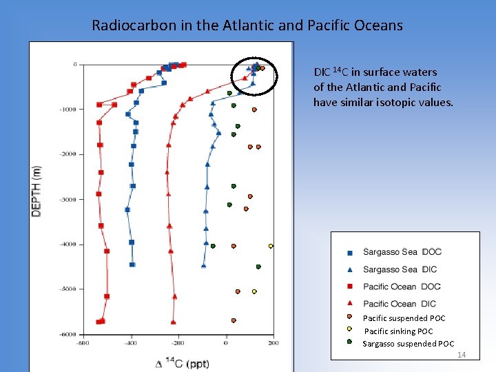 Radiocarbon in the Atlantic and Pacific Oceans DIC 14 C in surface waters of