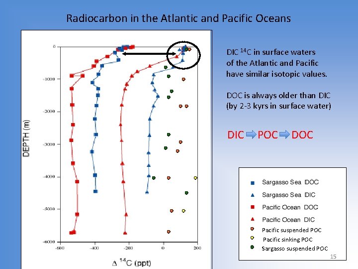 Radiocarbon in the Atlantic and Pacific Oceans DIC 14 C in surface waters of