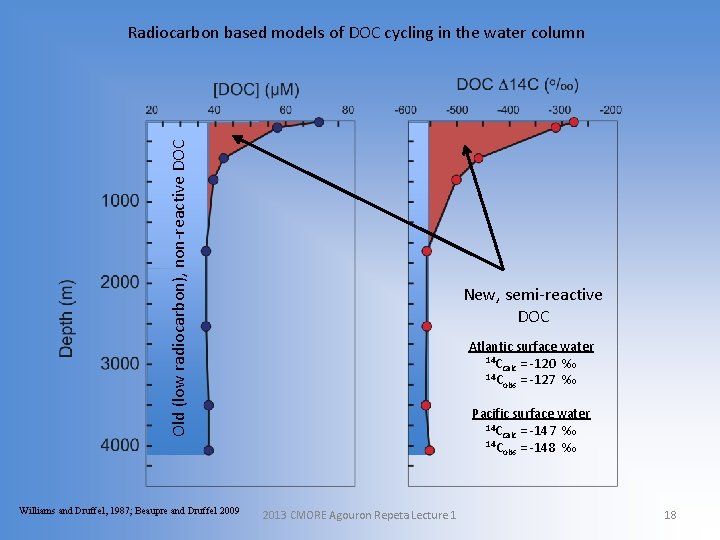 Old (low radiocarbon), non-reactive DOC Radiocarbon based models of DOC cycling in the water