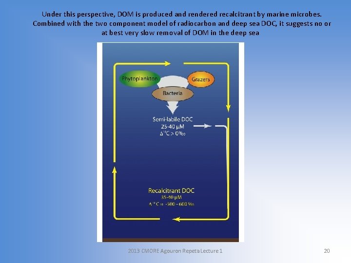 Under this perspective, DOM is produced and rendered recalcitrant by marine microbes. Combined with