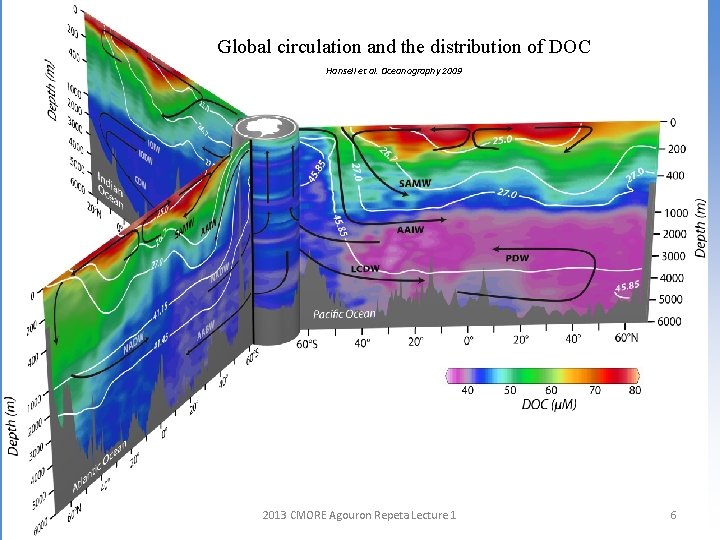 Global circulation and the distribution of DOC Hansell et al. Oceanography 2009 2013 CMORE