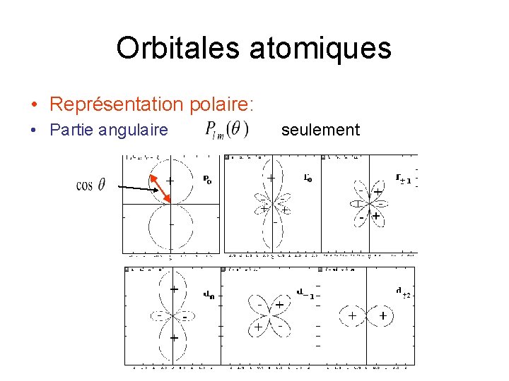 Orbitales atomiques • Représentation polaire: • Partie angulaire seulement 