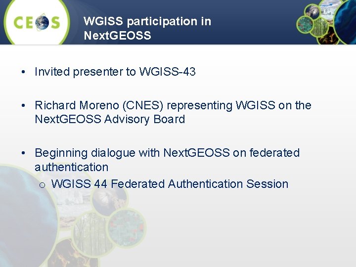 WGISS participation in Next. GEOSS • Invited presenter to WGISS-43 • Richard Moreno (CNES)