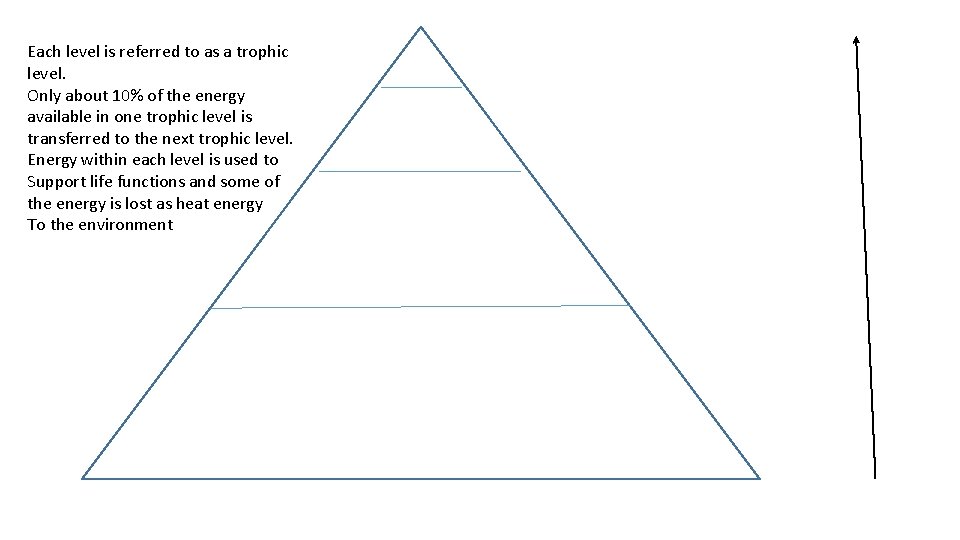Each level is referred to as a trophic level. Only about 10% of the