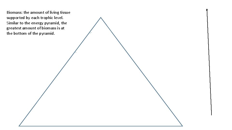 Biomass: the amount of living tissue supported by each trophic level. Similar to the