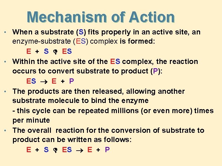 Mechanism of Action • When a substrate (S) fits properly in an active site,